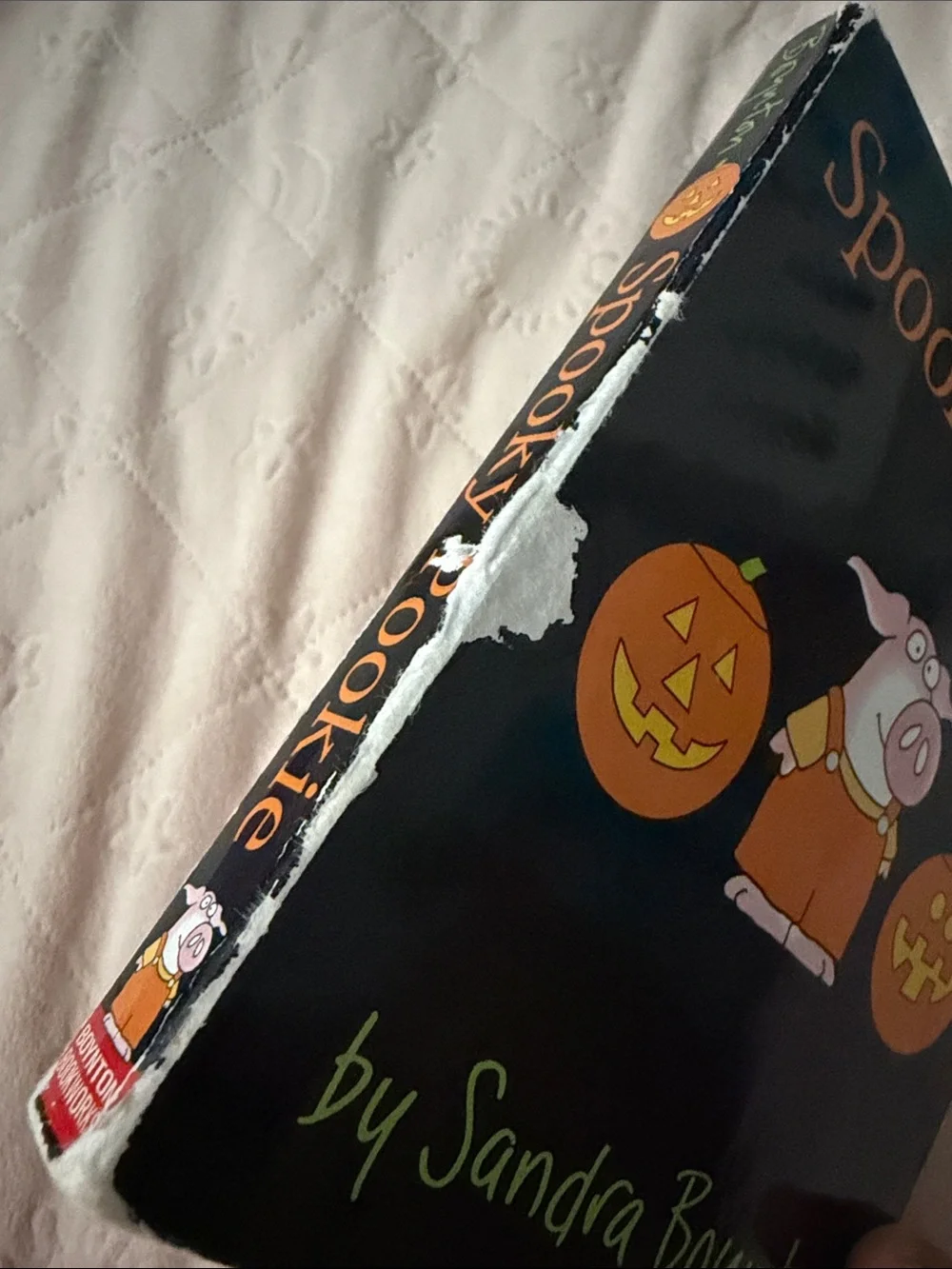 Spooky Pookie Pig Halloween book Sandra boynton- Black & Orange